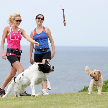 DOOG - The Stick Family (WOODY) - Dog Throw Stick