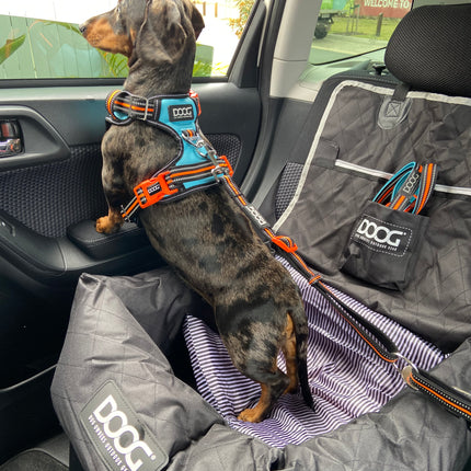 Dog Car Seat by DOOG with Dachshund looking out of the car window