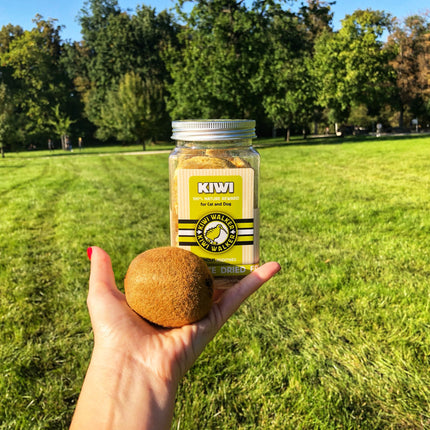 KIWI Walker DOG Treats - Freeze Dried Fruit
