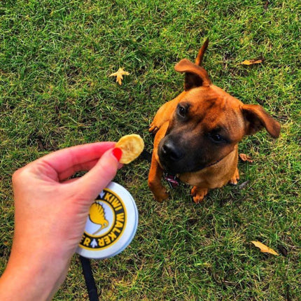 KIWI Walker DOG Treats - Freeze Dried Fruit