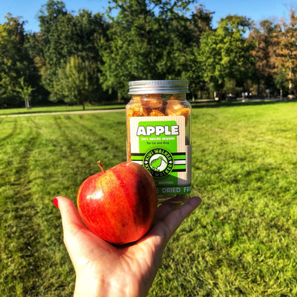 KIWI Walker DOG Treats - Freeze Dried Fruit
