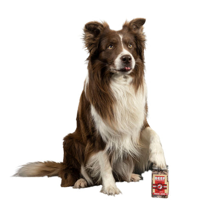 KIWI Walker Dog Treats - Freeze Dried Meats
