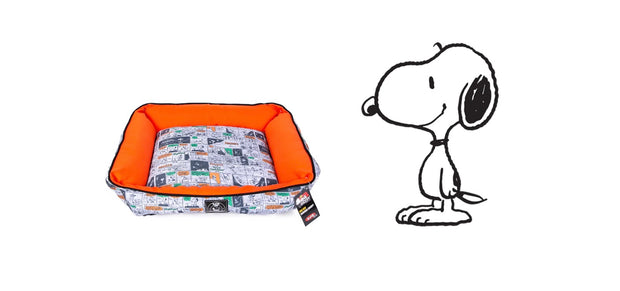 Snoopy Promo Banner