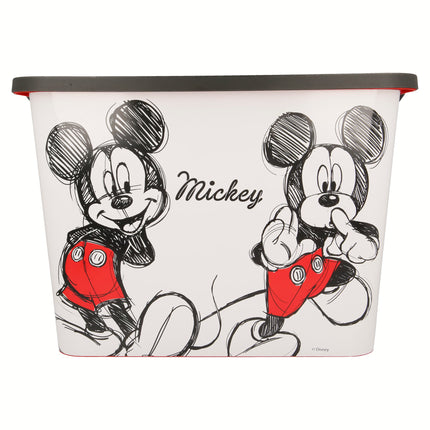 Mickey Mouse Storage Click Box