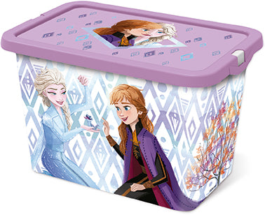 Frozen Storage Box with Click Lid