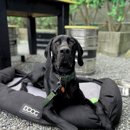 Doog Car Seat - Large