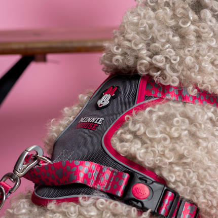 Minnie Mouse Harness for Dogs