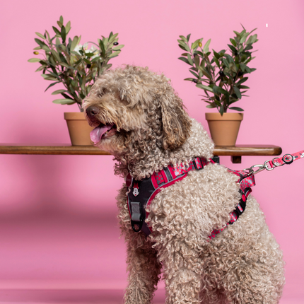 Minnie Mouse Harness for Dogs