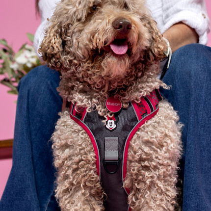 Minnie Mouse Harness for Dogs