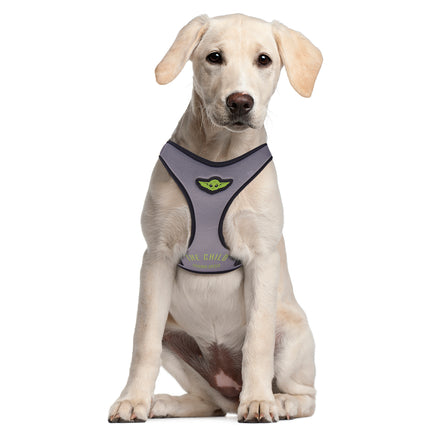 The Mandalorian Dog Harness