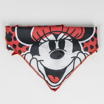 Minnie Mouse Puppy Welcome Pack