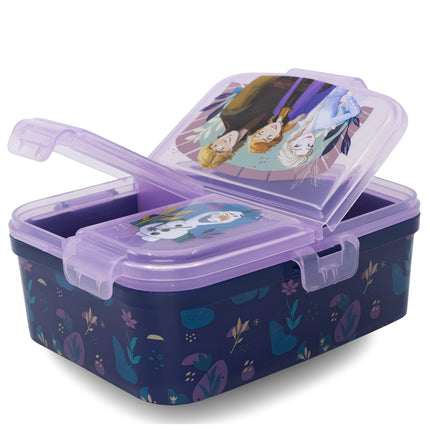 Frozen Lunch Box XL