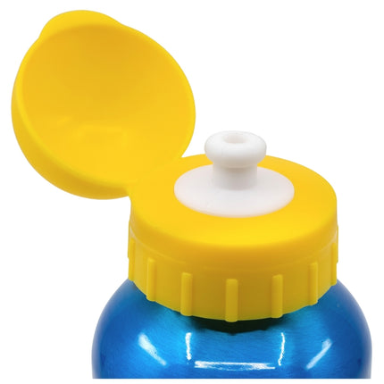 Paw Patrol Aluminium Water Bottle