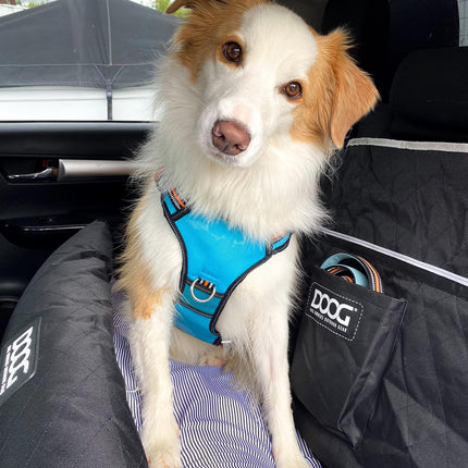Doog Car Seat - Large