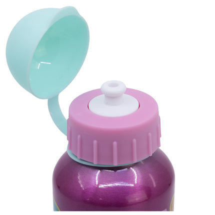 Paw Patrol Super powers Aluminium Water Bottle 400ml