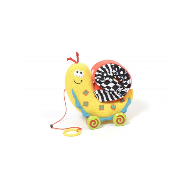 Pull along Snail Toy for Toddlers