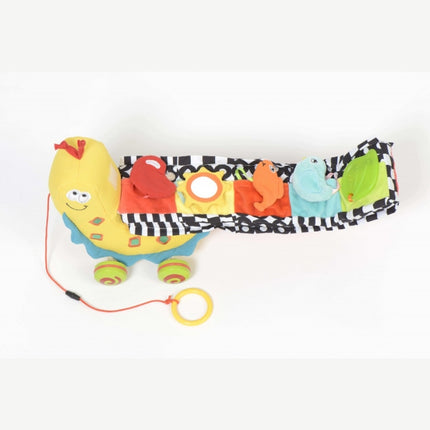 Pull along Snail Toy for Toddlers