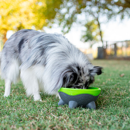 UFO Dog Bowl - Kiwi Walker