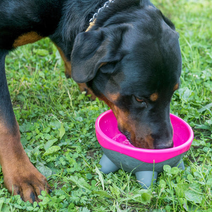 UFO Dog Bowl - Kiwi Walker