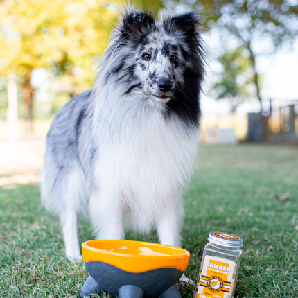 UFO Dog Bowl - Kiwi Walker