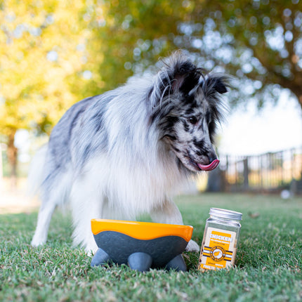 UFO Dog Bowl - Kiwi Walker