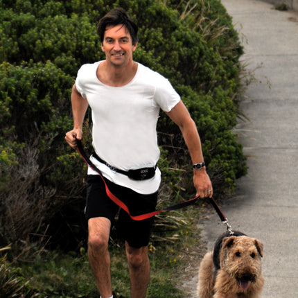 DOOG Walkie Belt - Black