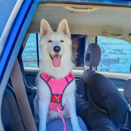 Doog Car Seat - Large