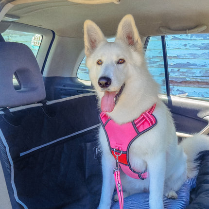 Doog Car Seat - Large