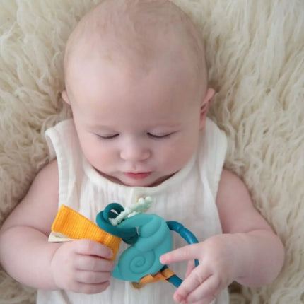 Dolce Toys Ocean Activity Pendant and Teething Ring Crab Shelly