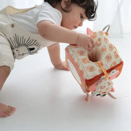 Dolce Earth Activity Cube