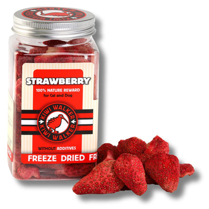 DOG Treats - Freeze Dried Fruit - Kiwi Walker