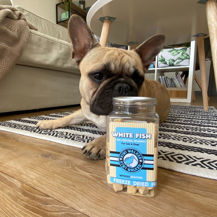 Dog Treats - Freeze Dried Fish - KIWI Walker