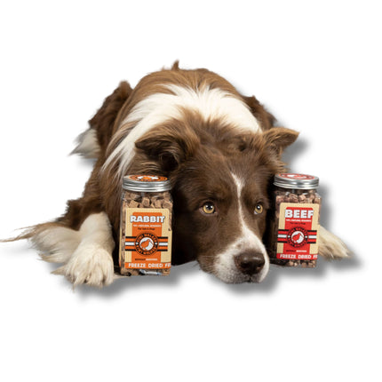 Dog Treats - Freeze Dried Meat & Chicken - Kiwi Walker