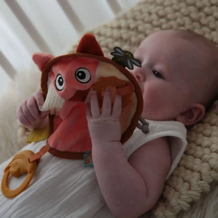 Dolce Toys Earth Cuddle Cloth and Pacifier Chain Fiona Fox & Ollie Owl