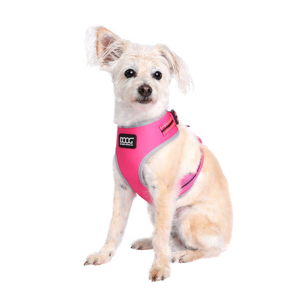 NEOFLEX SOFT HARNESS - NEON (LADY)