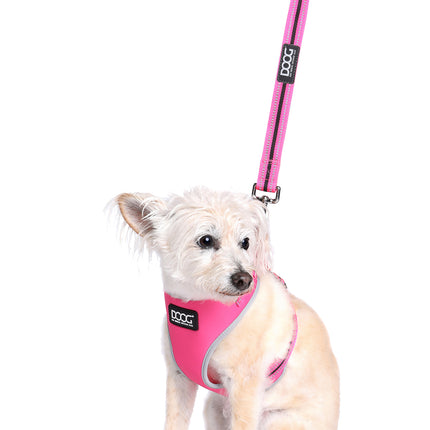 NEOFLEX SOFT HARNESS - NEON (LADY)