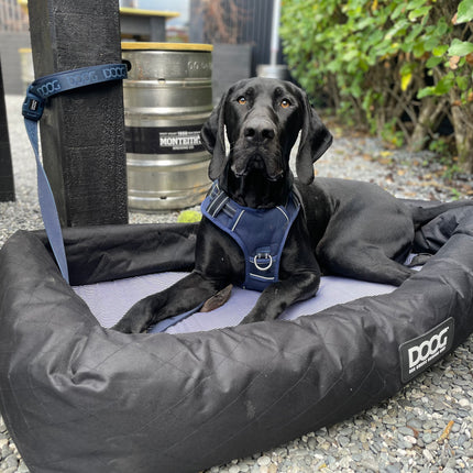 Doog Car Seat - Large