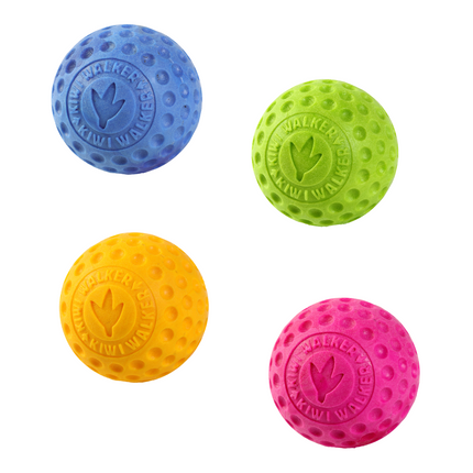 Dog Ball Toy  - KIWI Walker