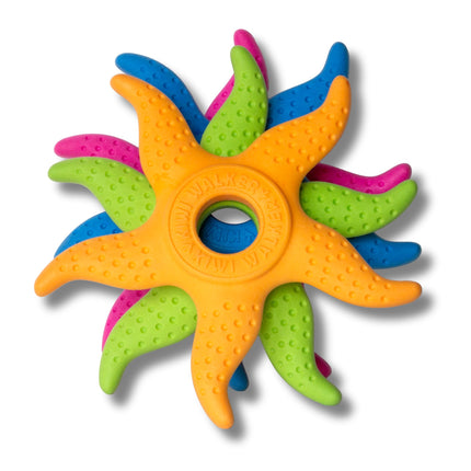 Let's play! Octopus & Starfish Toy for your Dogs - KIWI Walker