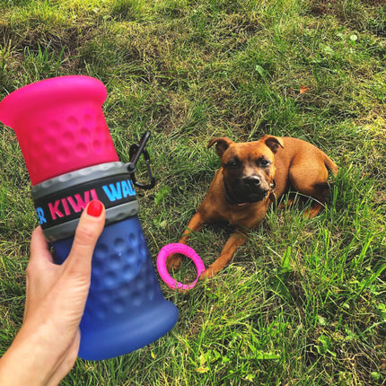 Kiwi Walker - Dog Travel Bottle 2 in 1 Pink/Blue