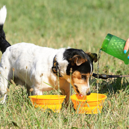 Dog Double Travel Bowl - Slowfeeder - KIWI Walker