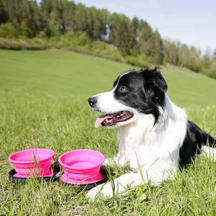 Dog Double Travel Bowl - Slowfeeder - KIWI Walker