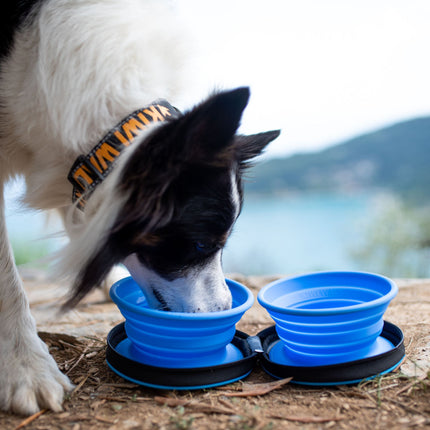 Dog Double Travel Bowl - Slowfeeder - KIWI Walker