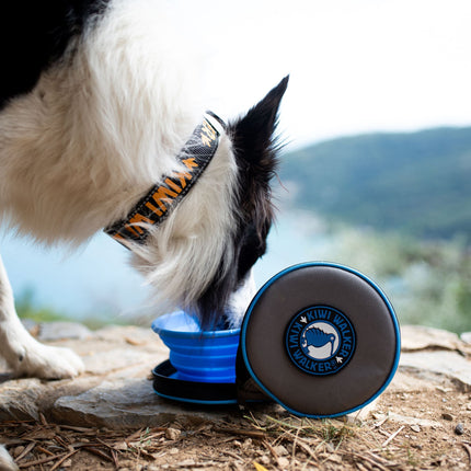 Dog Double Travel Bowl - Slowfeeder - KIWI Walker