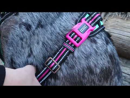 DOOG Harness Video