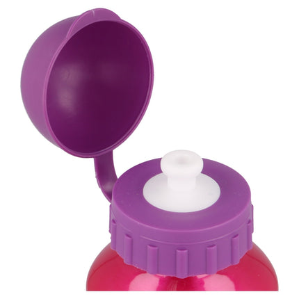Disney Princess Aluminium Water Bottle
