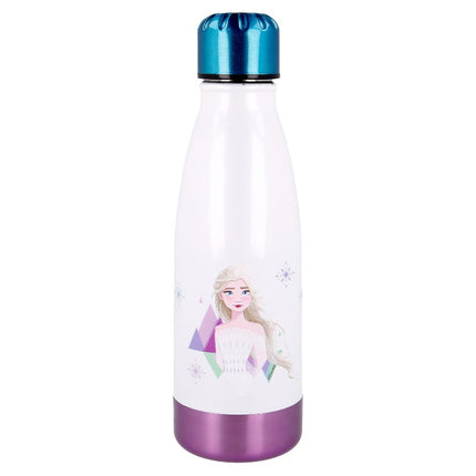 Frozen Stainless Steel Water Bottle 