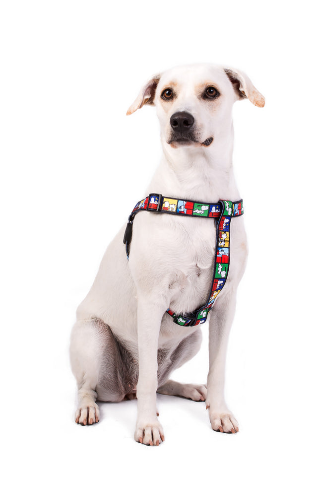 Snoopy Dog Harness 