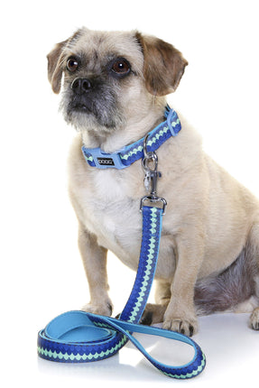 DOOG Neoprene Dog Collar