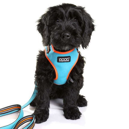 Dog Harness Neon - DOOG